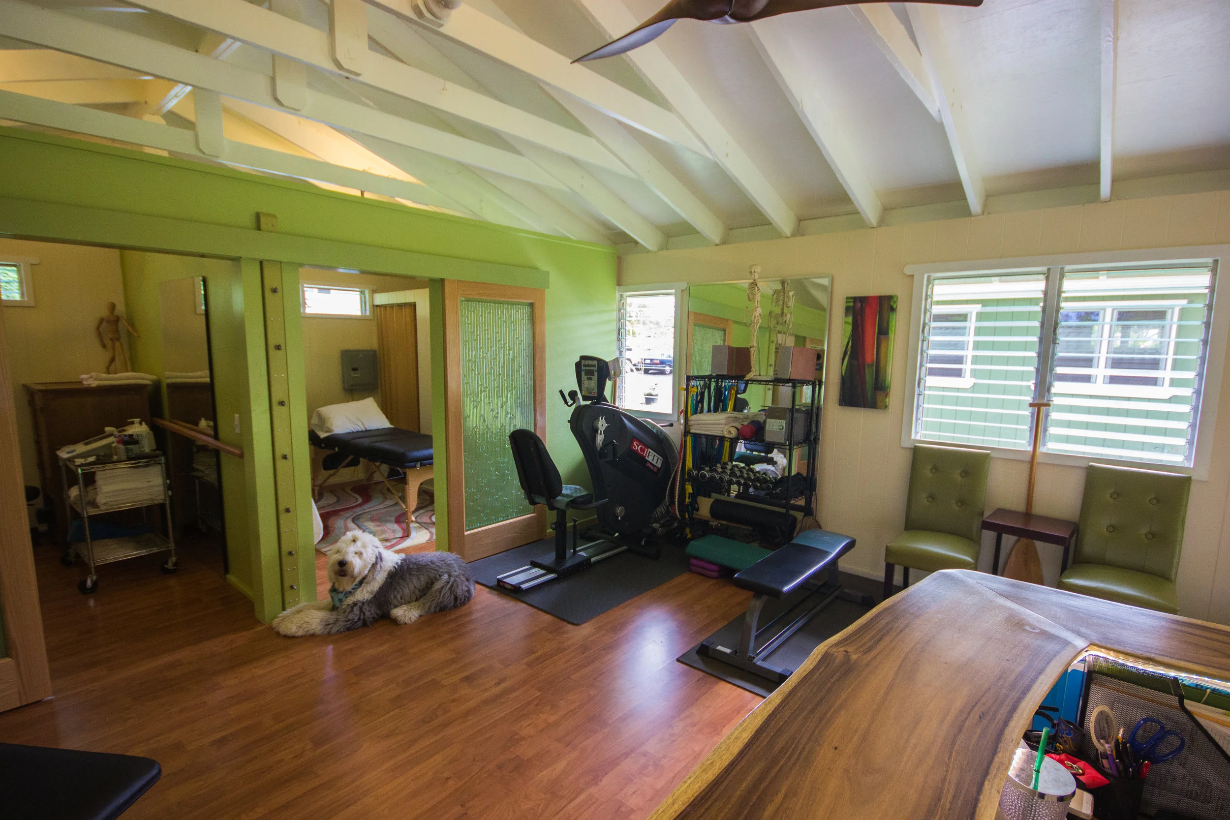 About Us — Aloha Sports Medicine & Physical Therapy