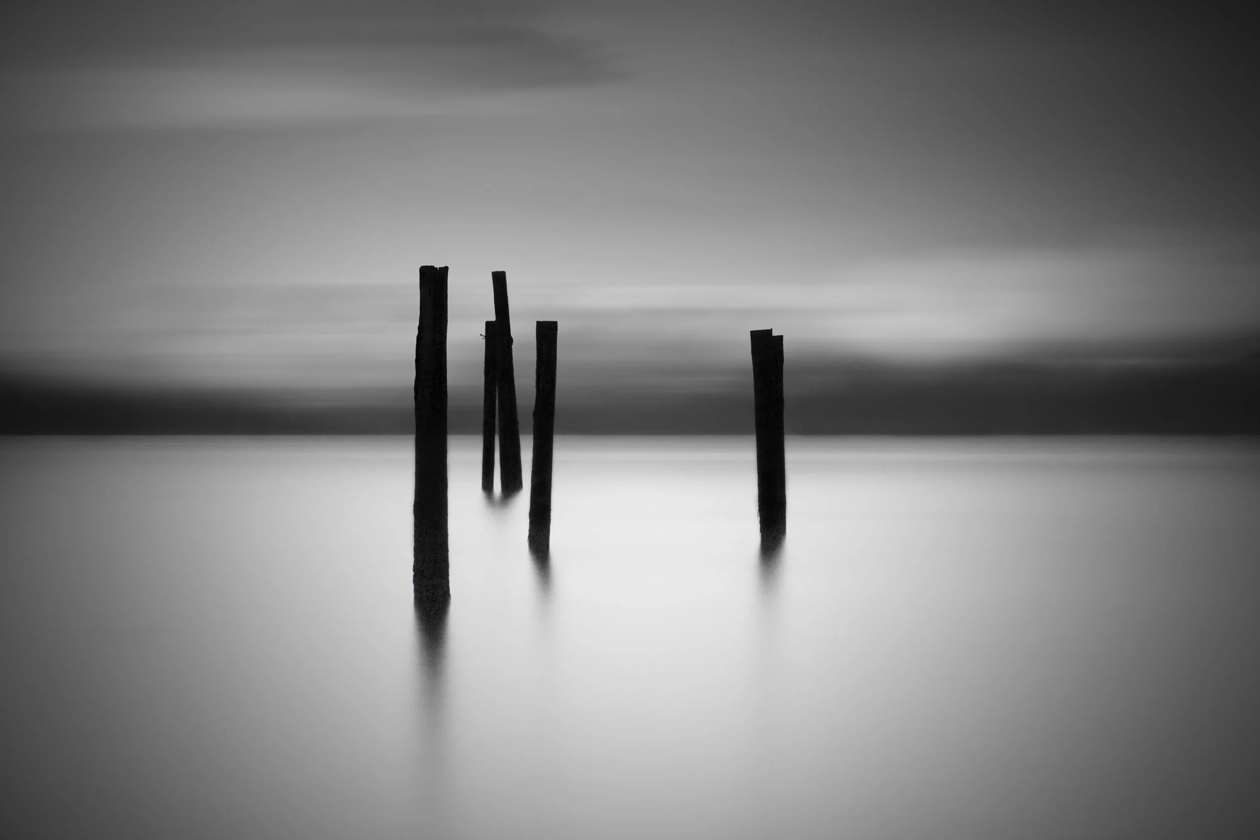 Shelter Point stilts Final.jpg