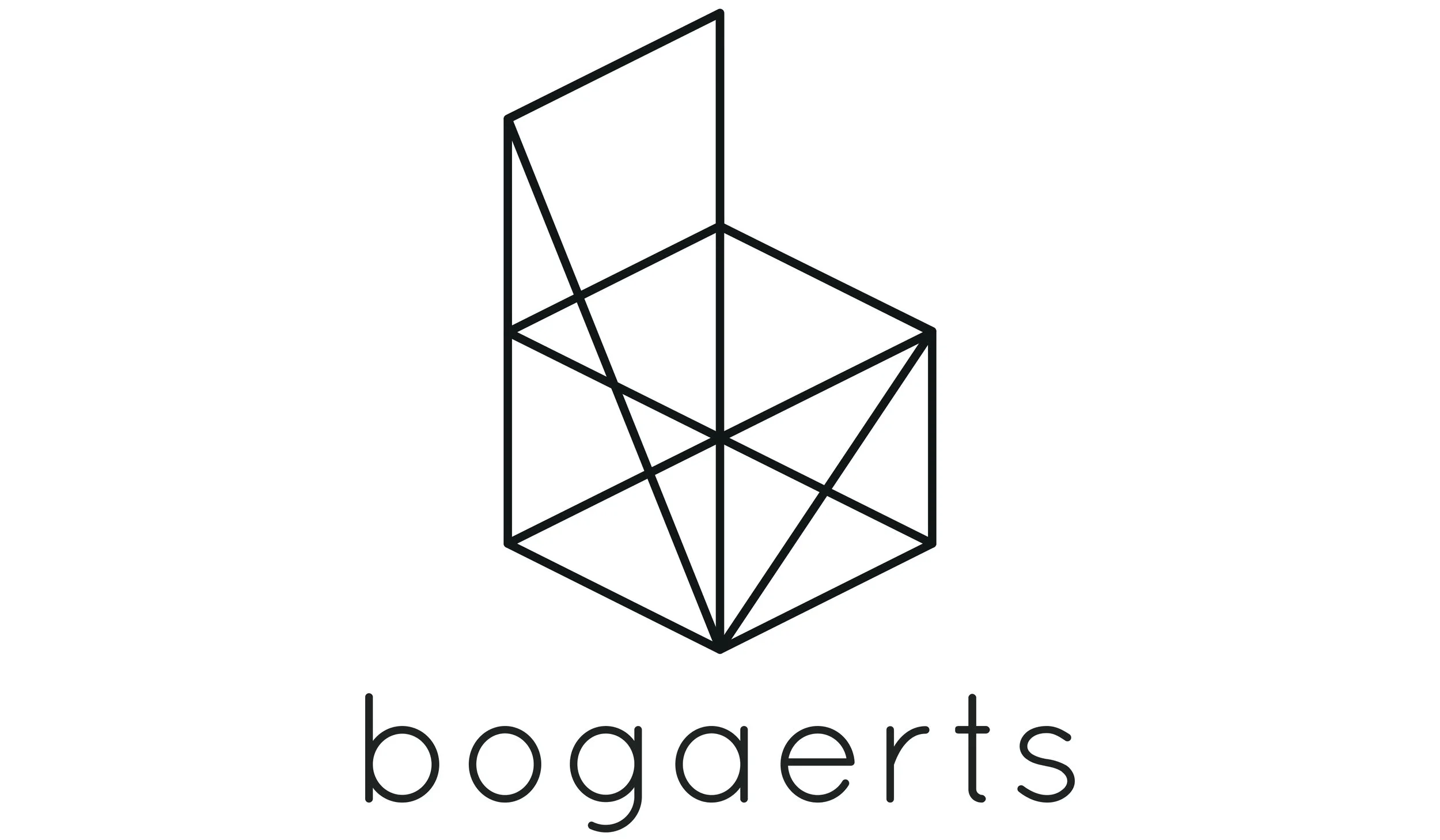 Logo_bogaerts_wireframe_12x7.jpg