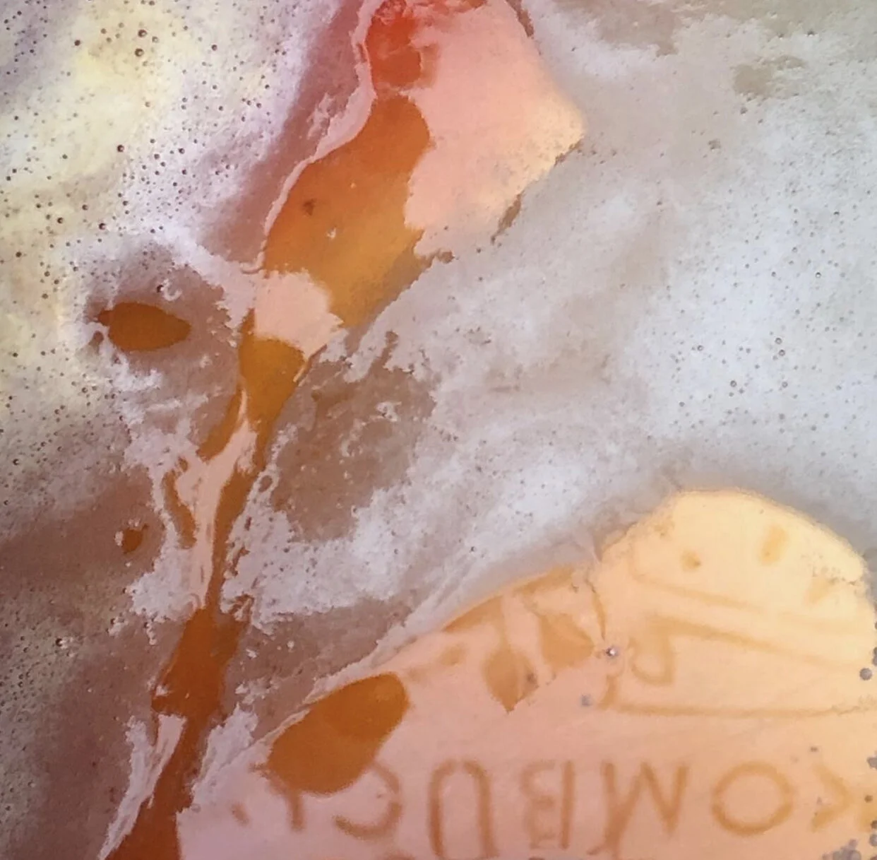 What’s the deal with Kombucha?