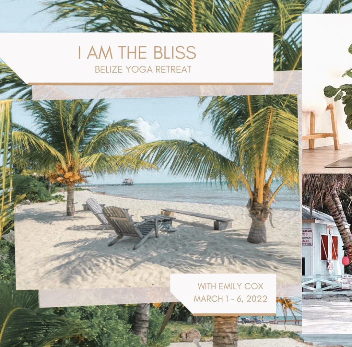 I AM THE BLISS BELIZE YOGA RETREAT! 