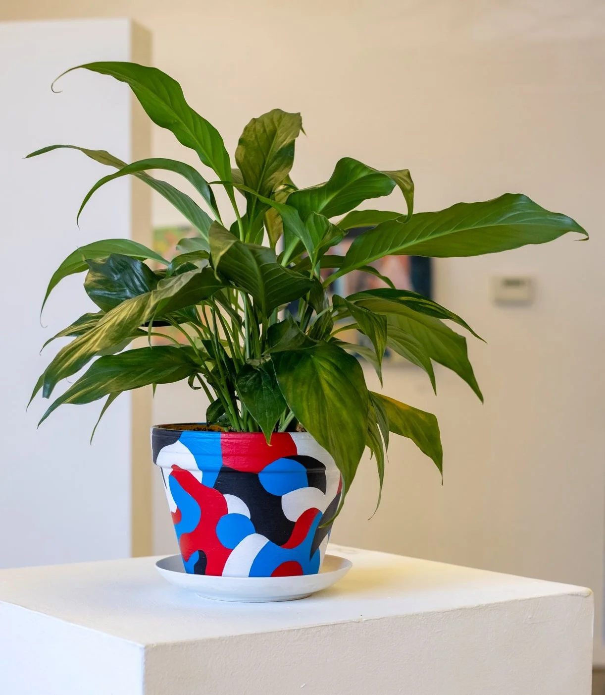 pot (w plant) - 2018 acrylic, water & dirt