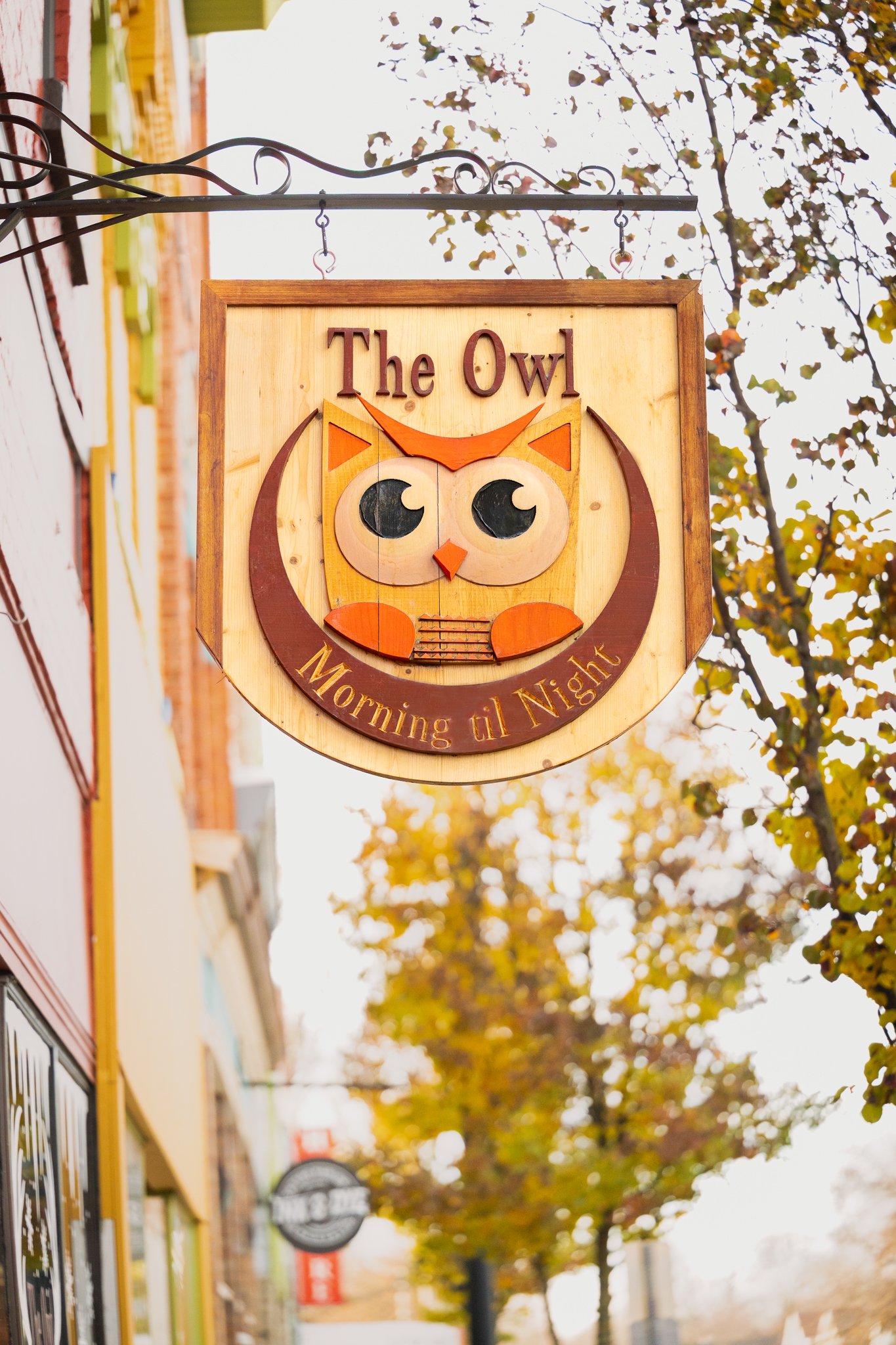 Wooden sign hanging outside a building with an owl illustration and the text 'The Owl' and 'Morning til Night'.