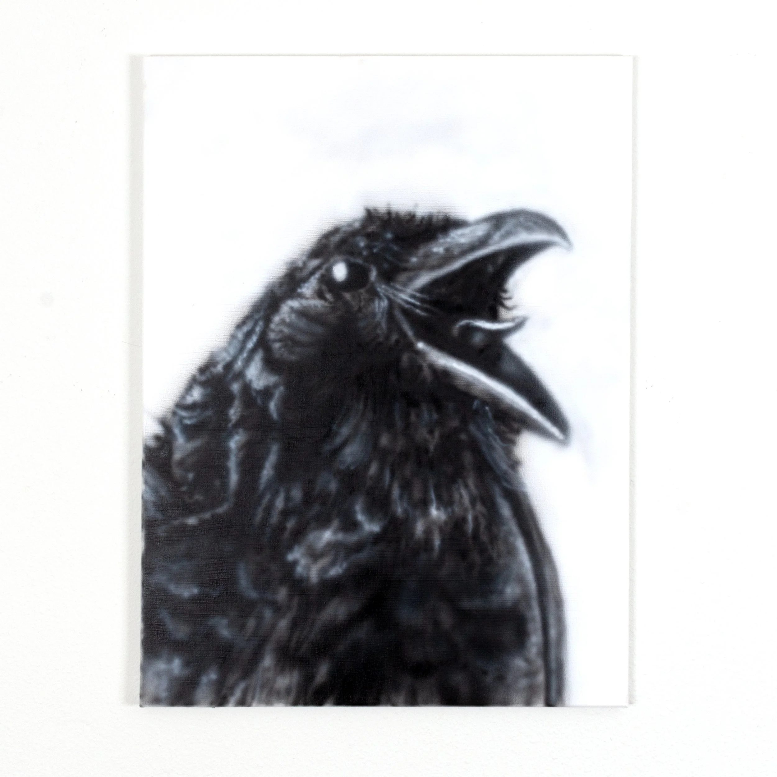 crow.jpg