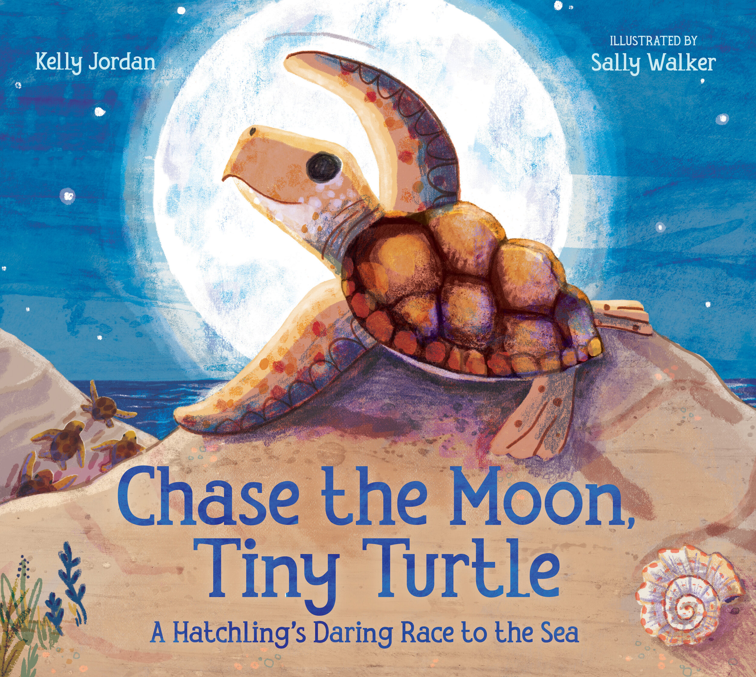 Chase the Moon Tiny Turtle cover.jpg