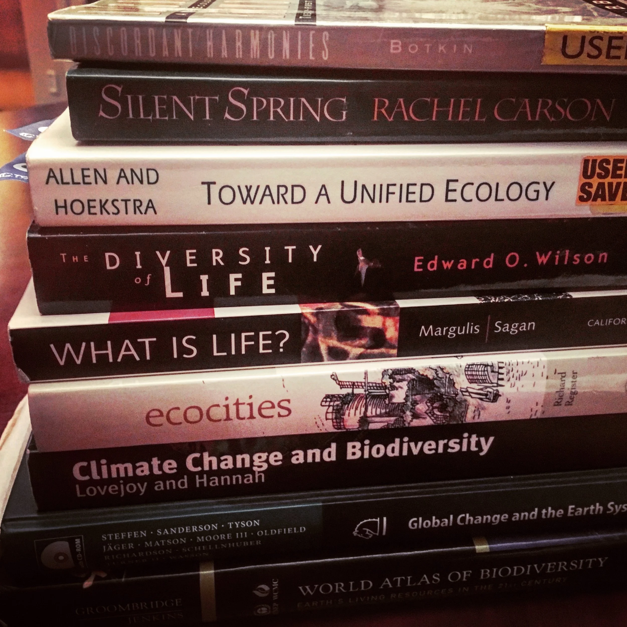 Environmentalism: Tensions Between Light & Dark