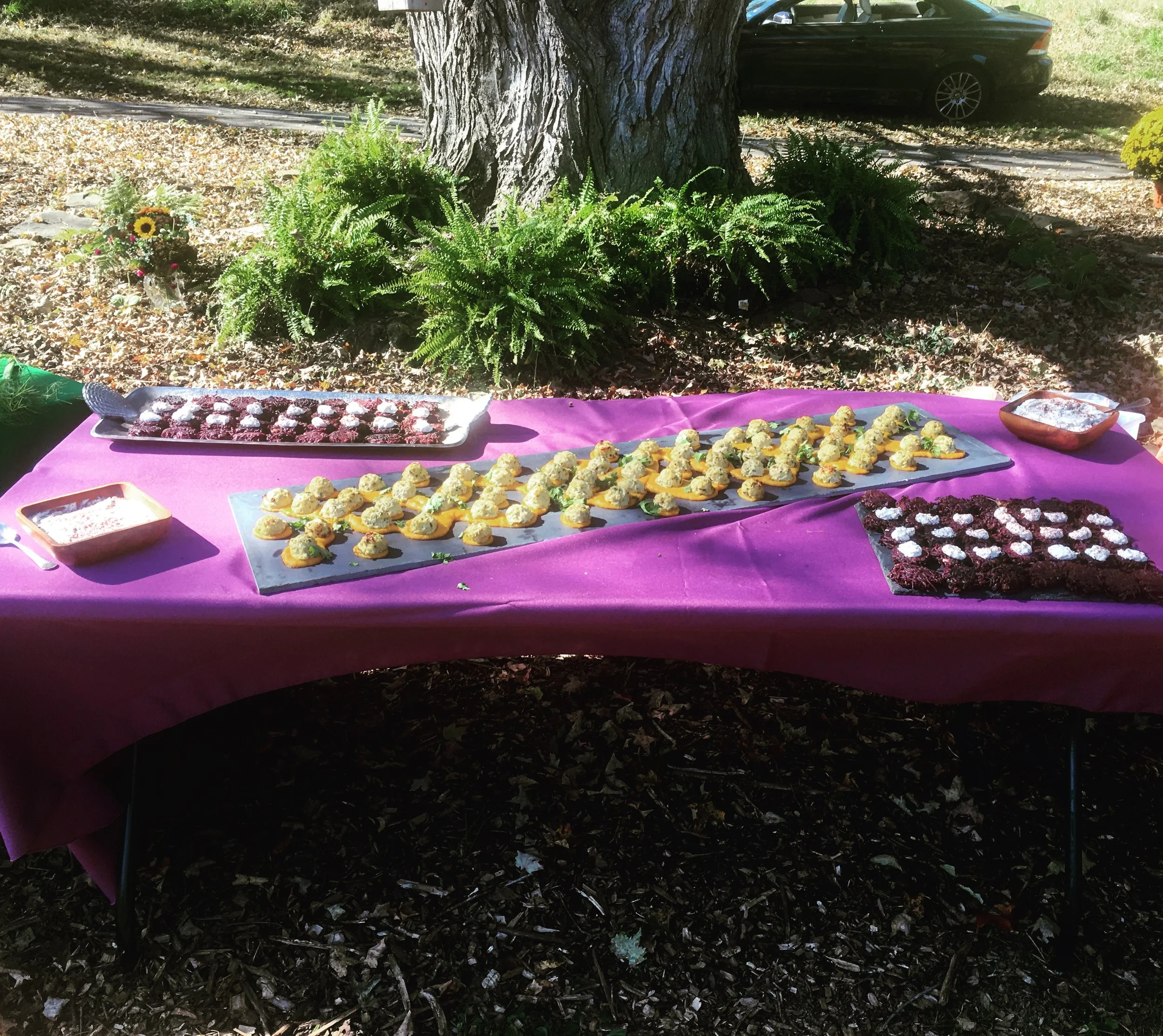 Catering for a Private Autumn Wedding in Kennett Square, PA. Purple Sweet Potato Latkes with Spiced Labneh (Vegan & Sheep Versions) and Herb Chicken Balls in Orange Saffron Sauce
