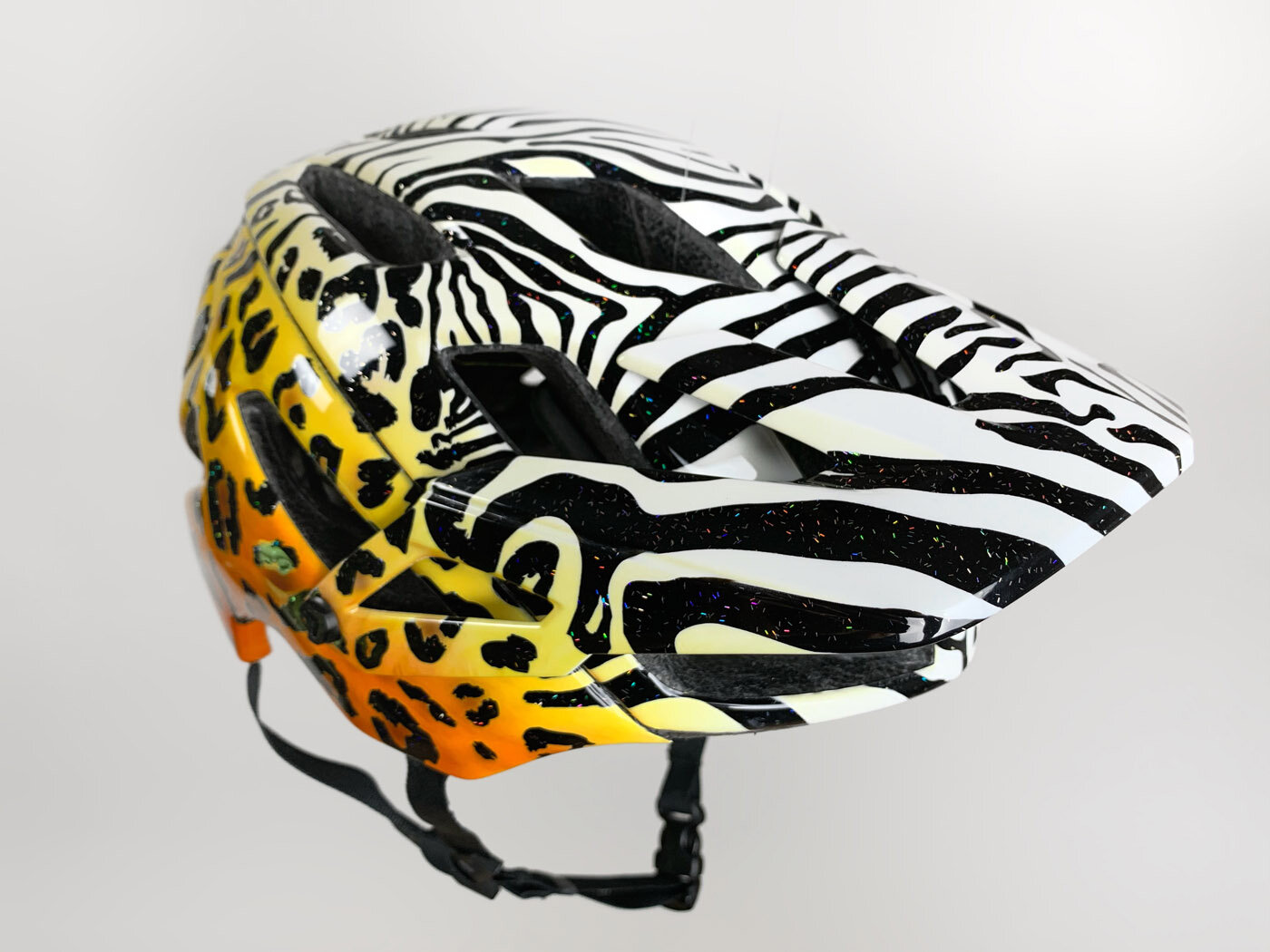 Cheetah Zebra