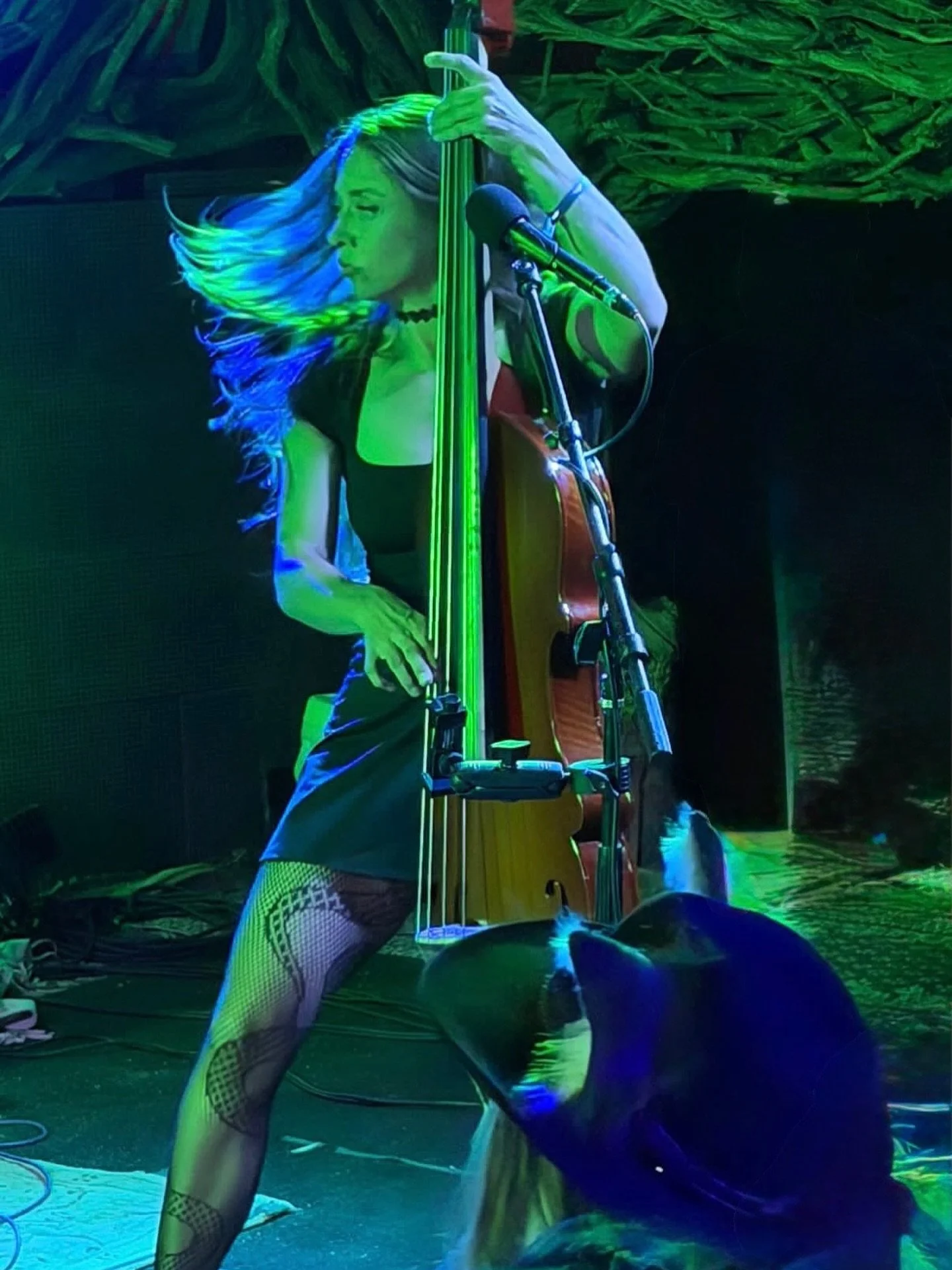 New super hero pic unlocked @baytimesmedia 
.
@joshuatreemusicfestival was SO EPIC I just can&rsquo;t even begin to accurately depict the beautiful quality of energy in this audience. They truly have cultivated something special at this festival. For