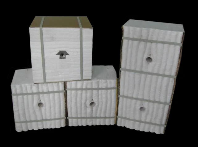 Ceramic Fibre Modules