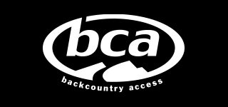 BCA logo.png