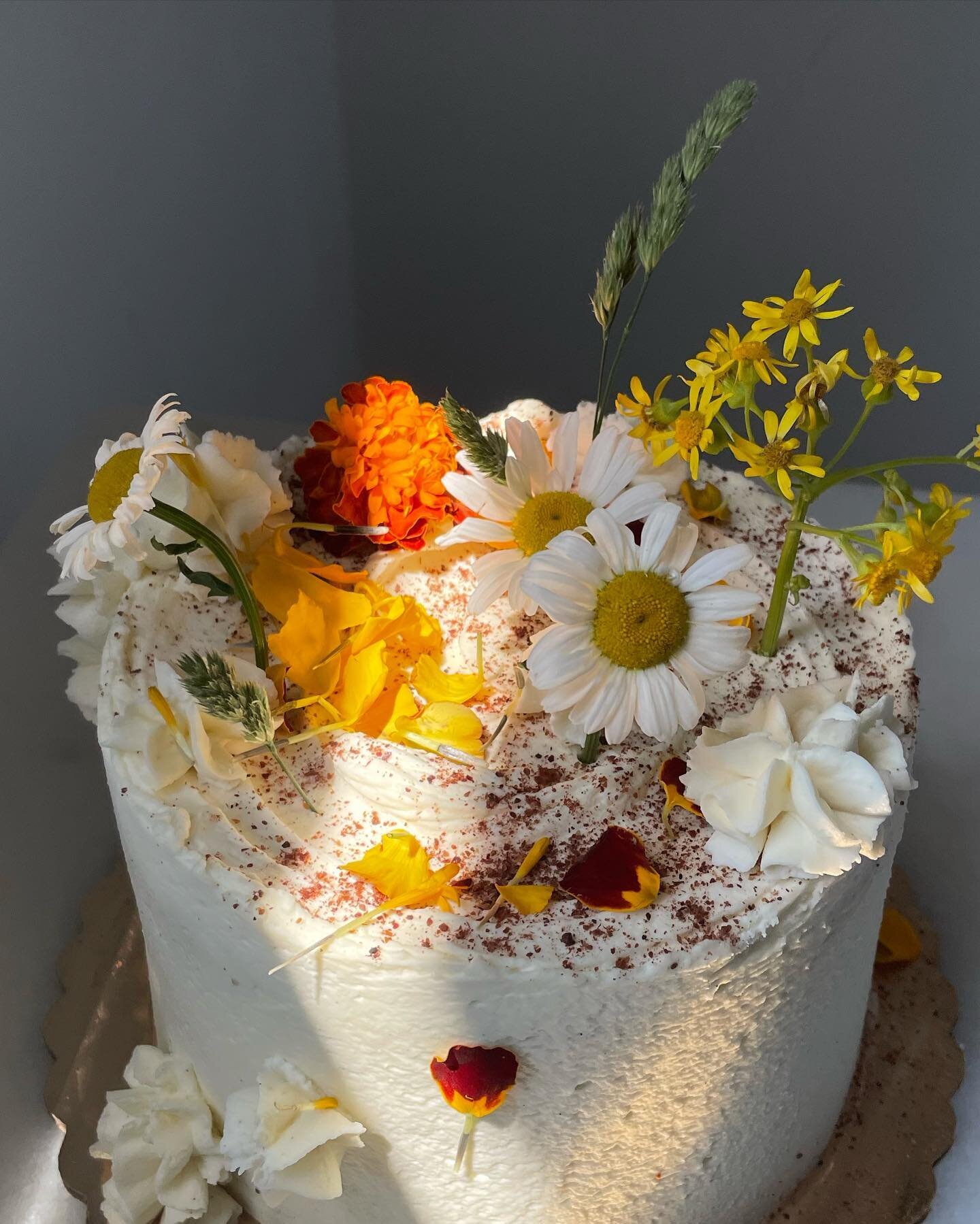 ***reminder: half birthday is in its last two weeks. sign up for a cake before I pass away⚰️***

weekend mini from the 10th + 11th 🥕 topped with prairie land flowers

brown sugar carrot cake, whipped mascarpone, candied pecans, sumac sprinkle.
.
.
.