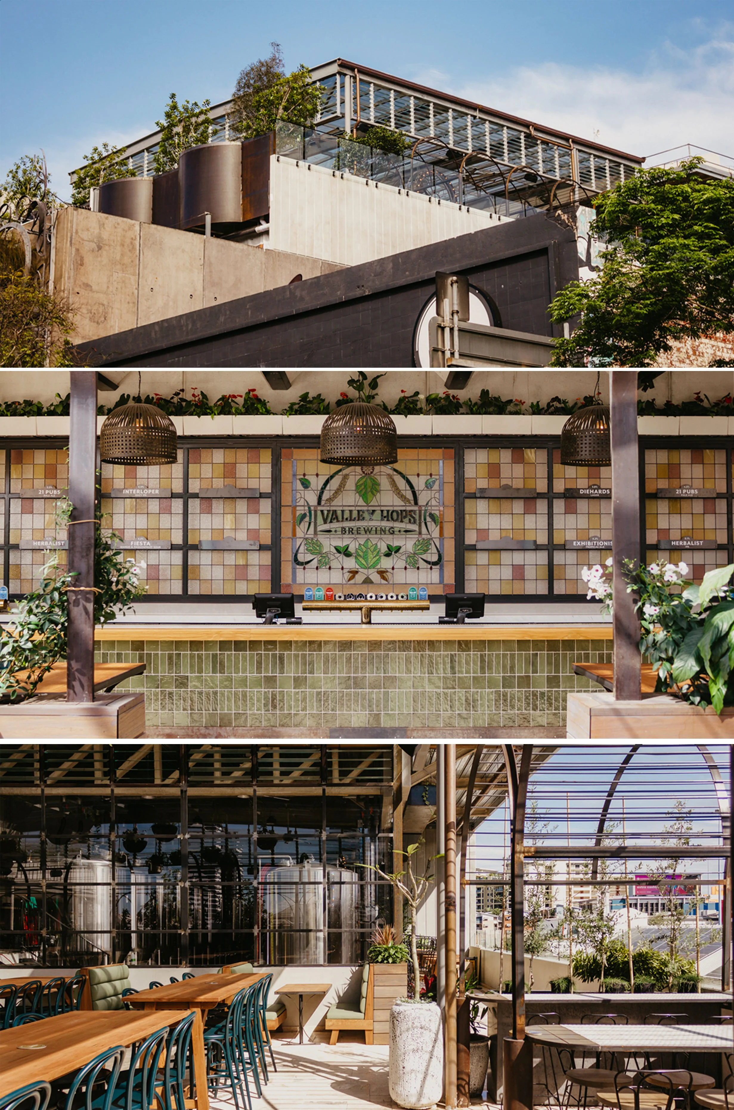 VALLEY-HOPS-COMBINED-WEB.jpg