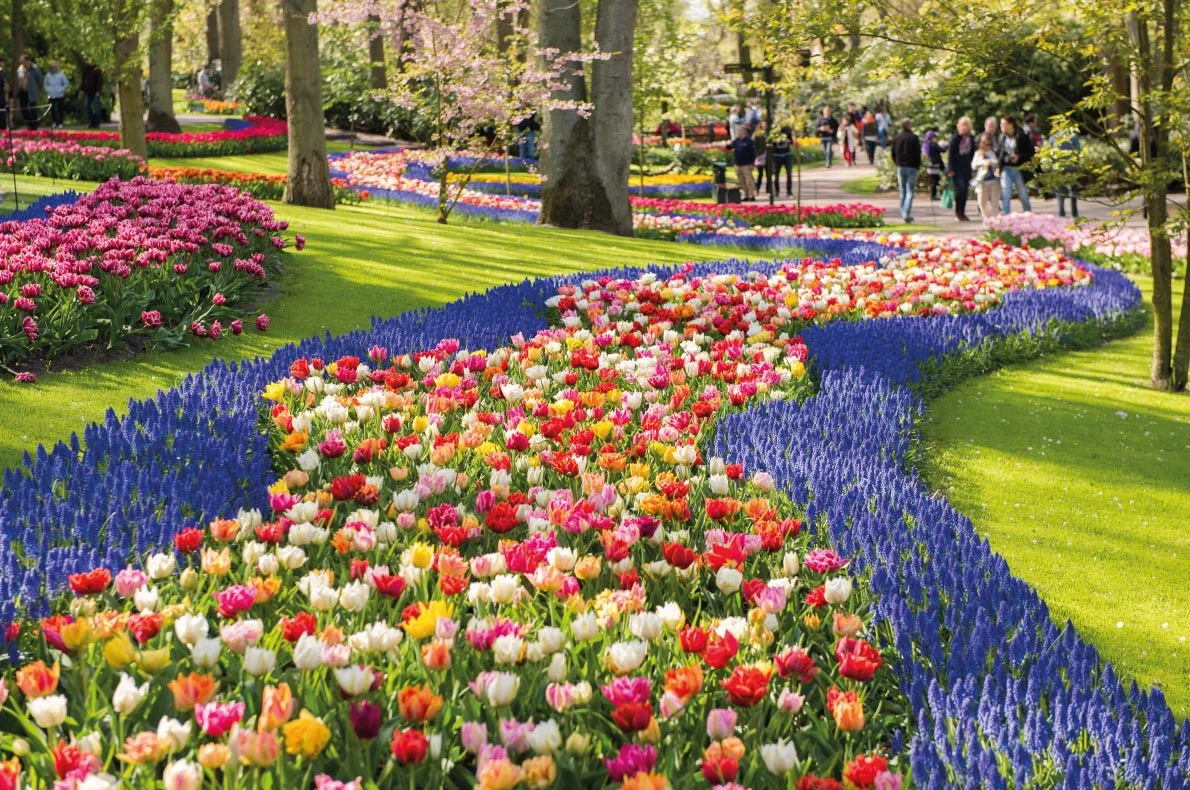 spring.jpg