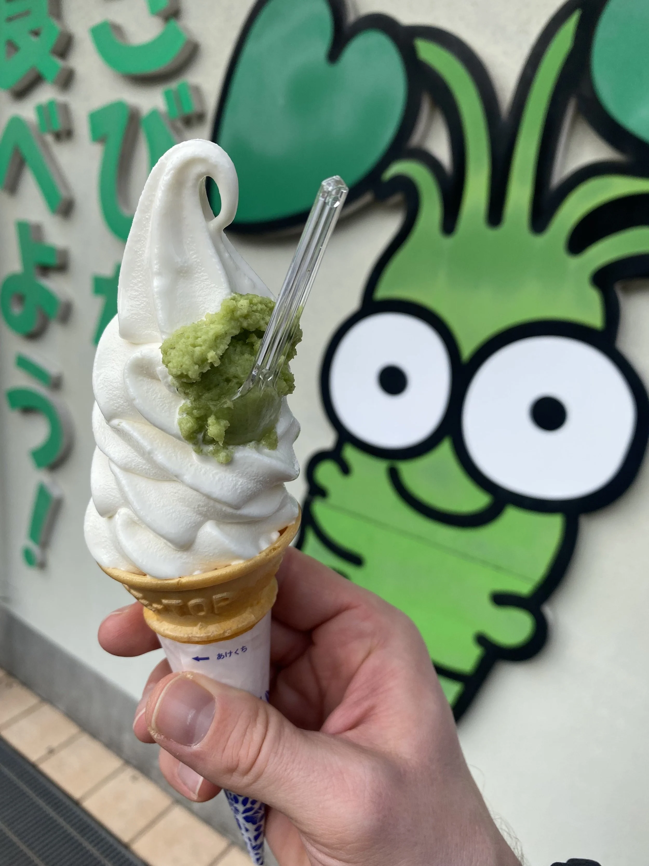 Wasabi ice cream (delicious, believe it or not!)