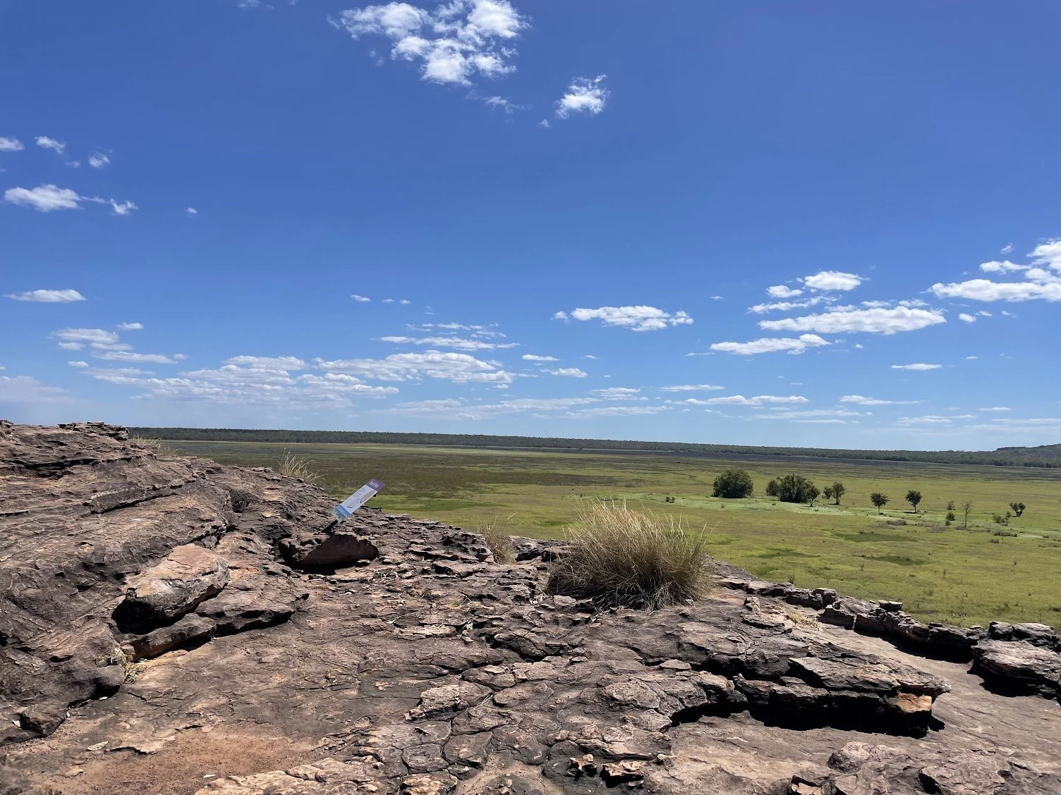 Kakadu.jpg