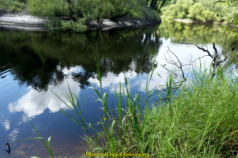 Travel Journal: The Econlockhatchee River Meets  the Welaka River
