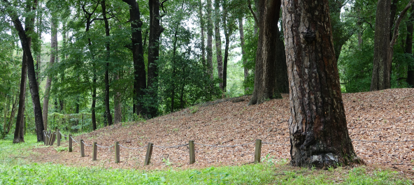 Ancient Mound near Cascading Water, "Tallahassee, Florida" aka "Velda Mound"