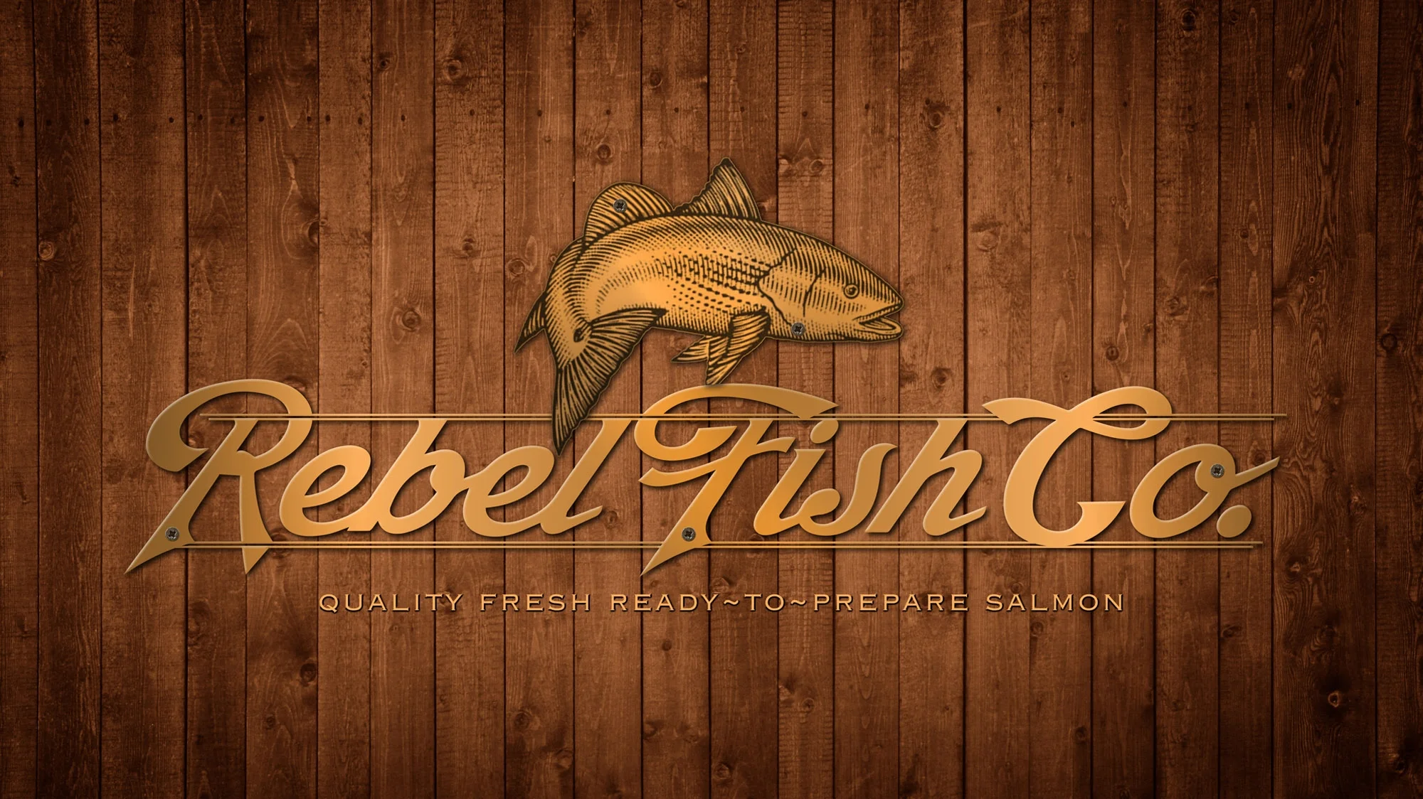 Rebel Fish Logo Concepts / My Role: Designer / Mattson Co.