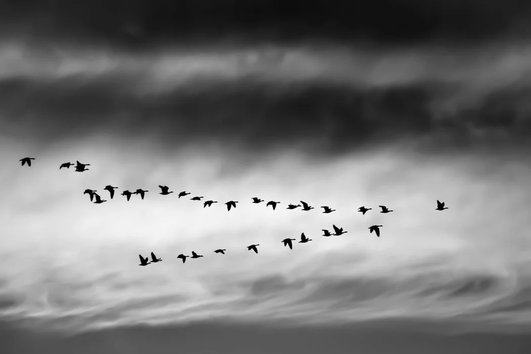 How To Be An Entrepreneurial Leader [Part II]