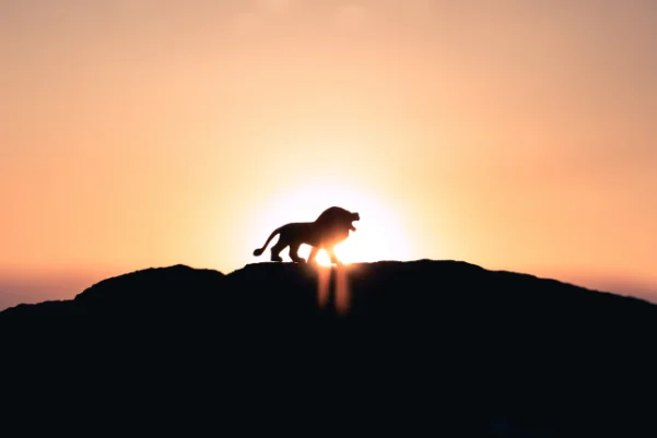 Podcast Episode 43 - How to be a Lion: Ed Silvoso, Author and Founder of Transform Our World