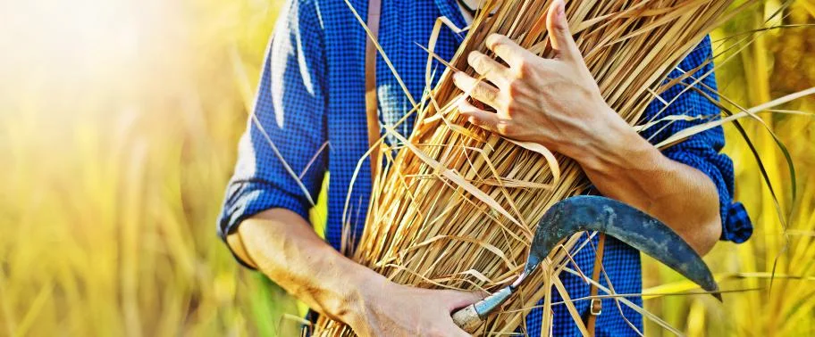 Consider the Ant: Why Daily Faithfulness Matters