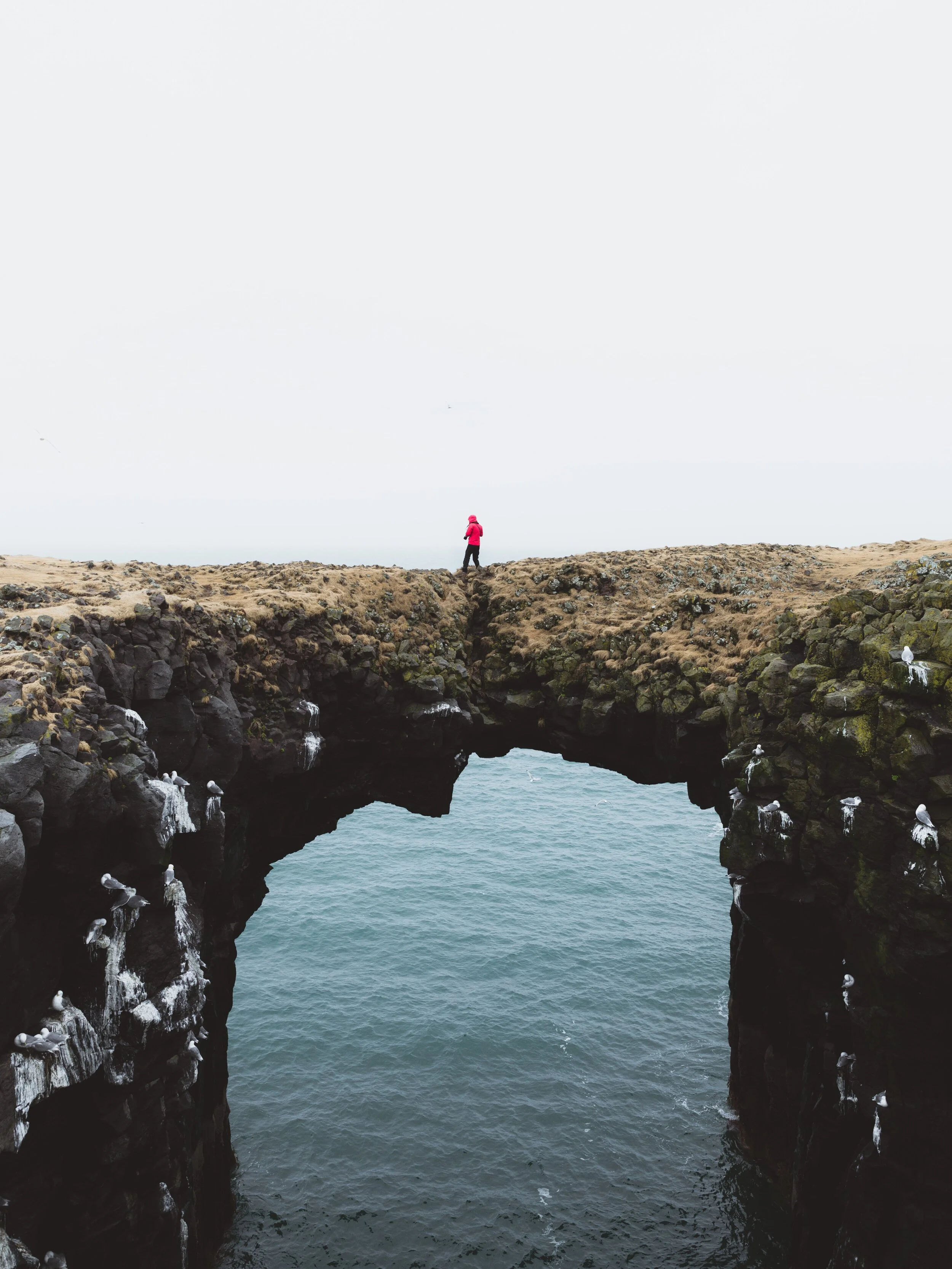 Photo by kyler trautner on Unsplash