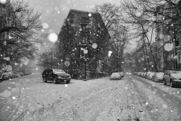 Leading Beyond the Blizzard: Why Every Organization Is Now a Startup
