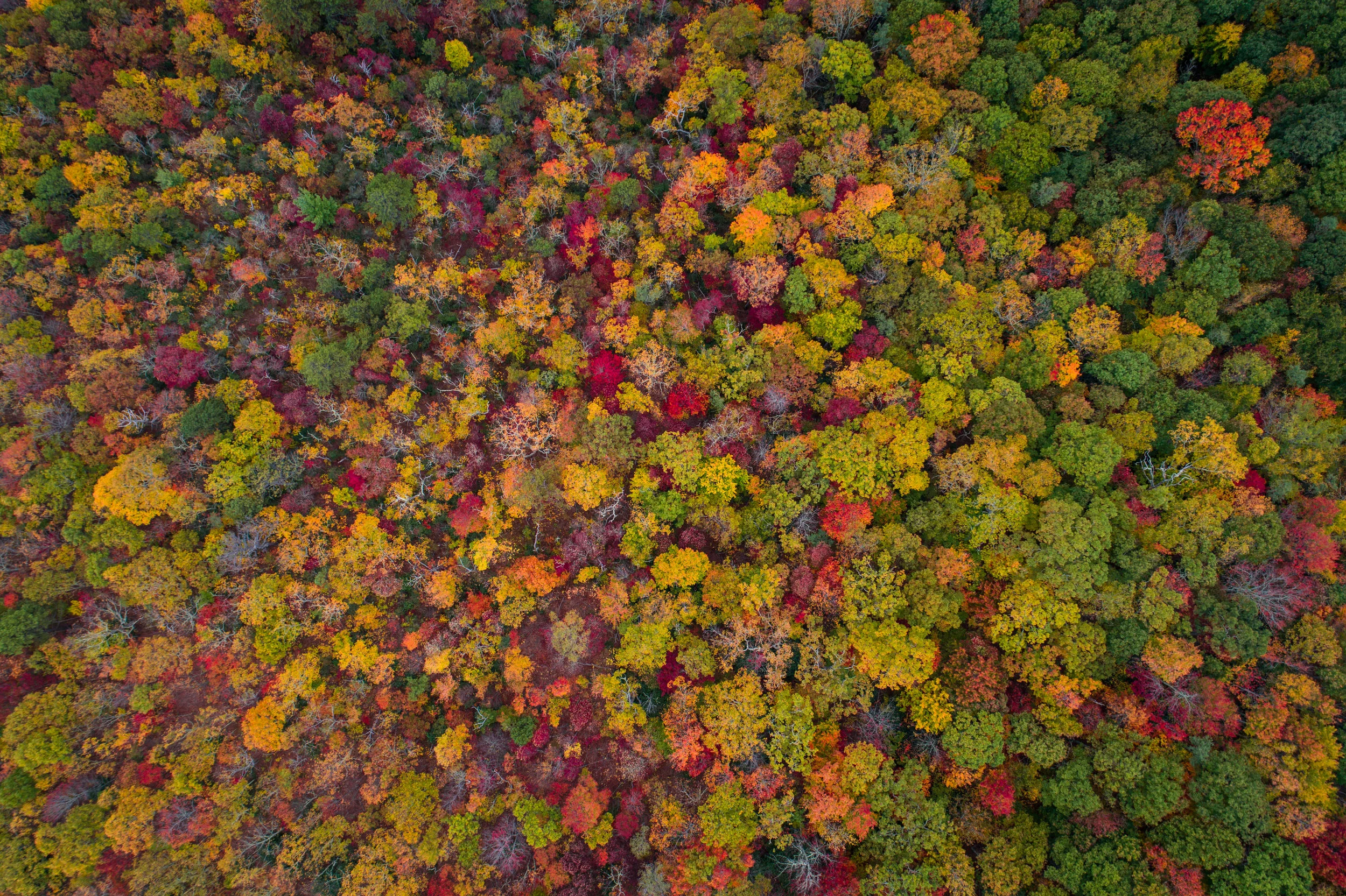 A Season of Transition