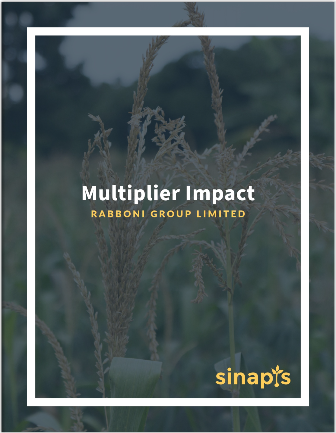 Multiplier Impact Report (Sinapis)