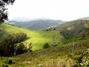 higgins-canyon-road-picture-300x225.jpg