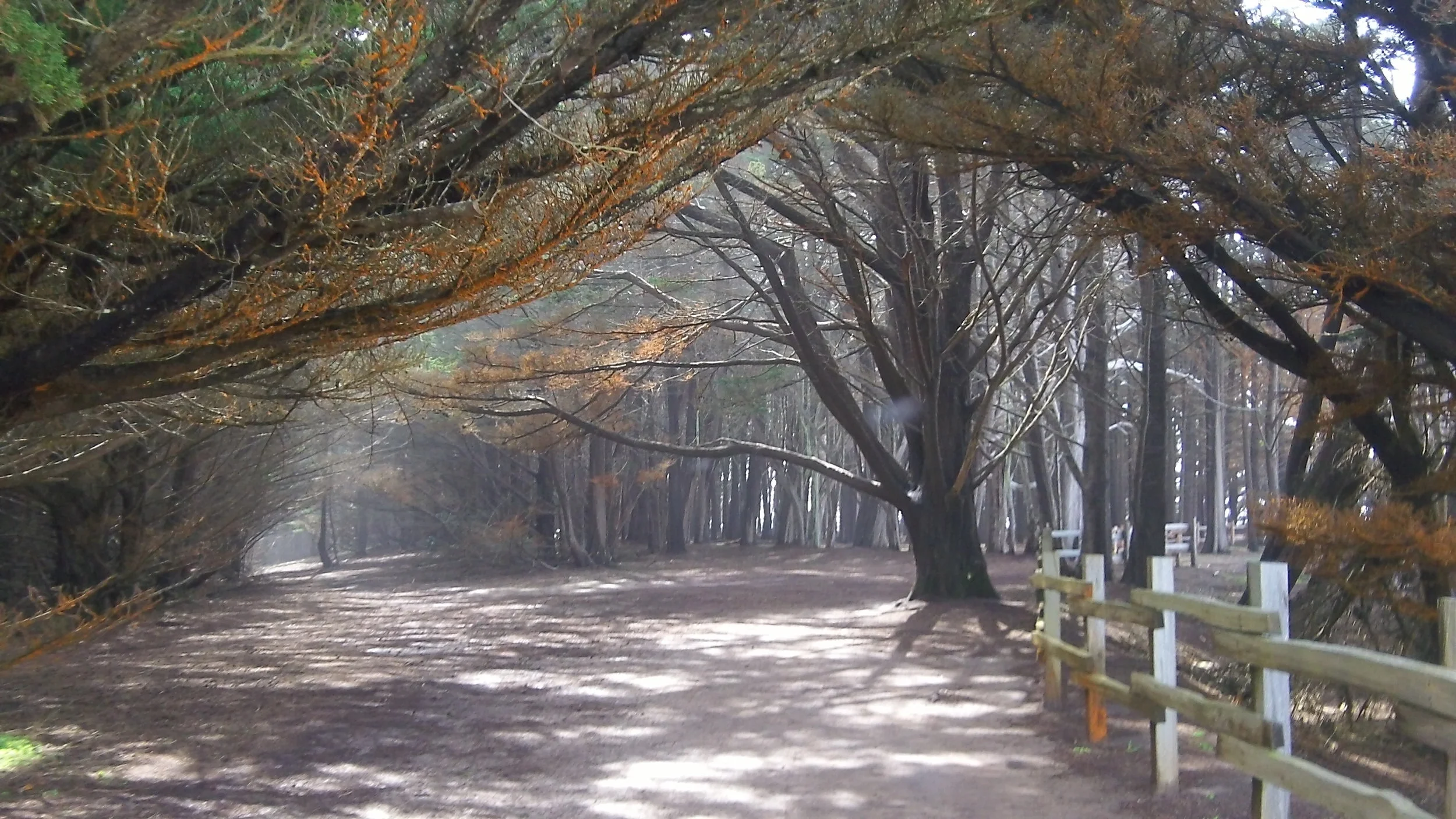 InVisioning & Emergence: Trauma-Informed Nature & Art Healing Immersion