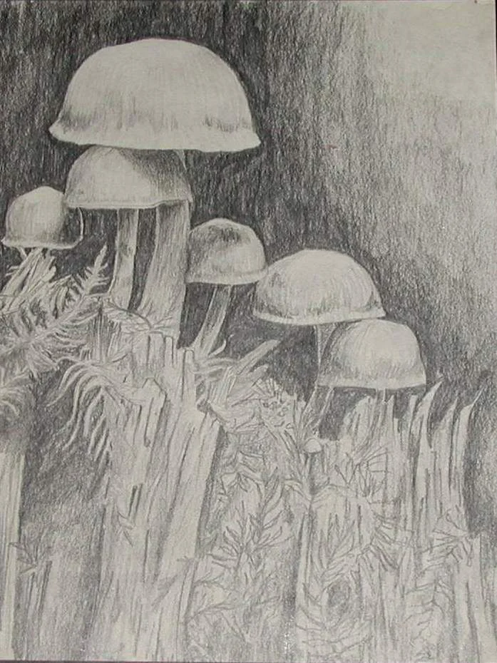 Pencil-1994-Shrooms.jpg