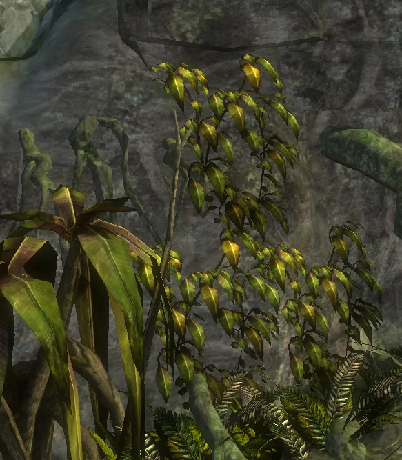 leaf_cluster.jpg