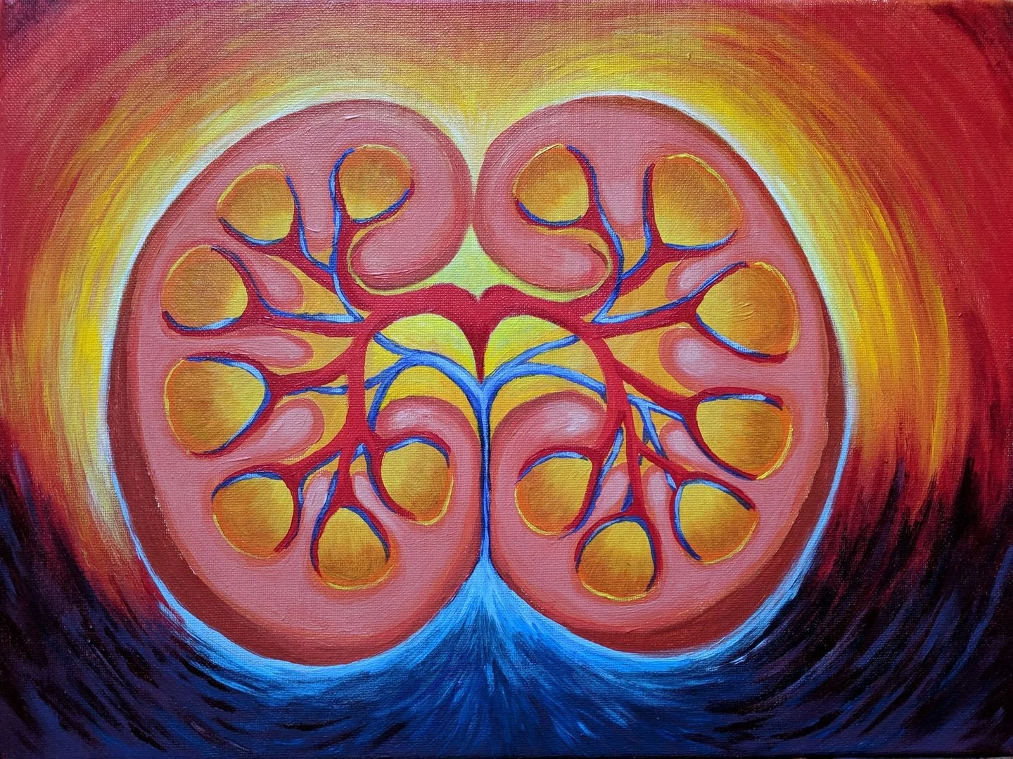 Kidneys.jpg