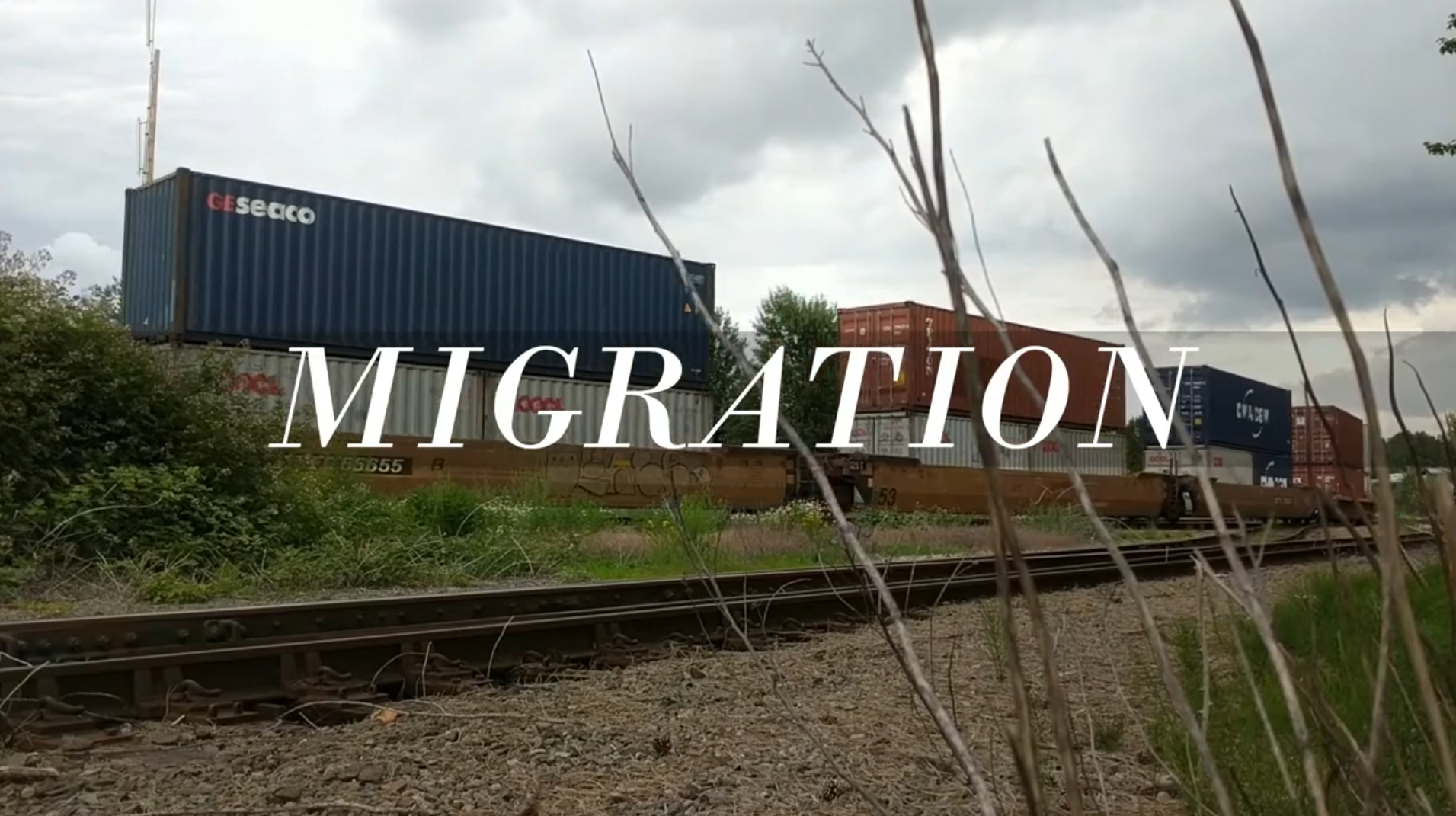 Migration