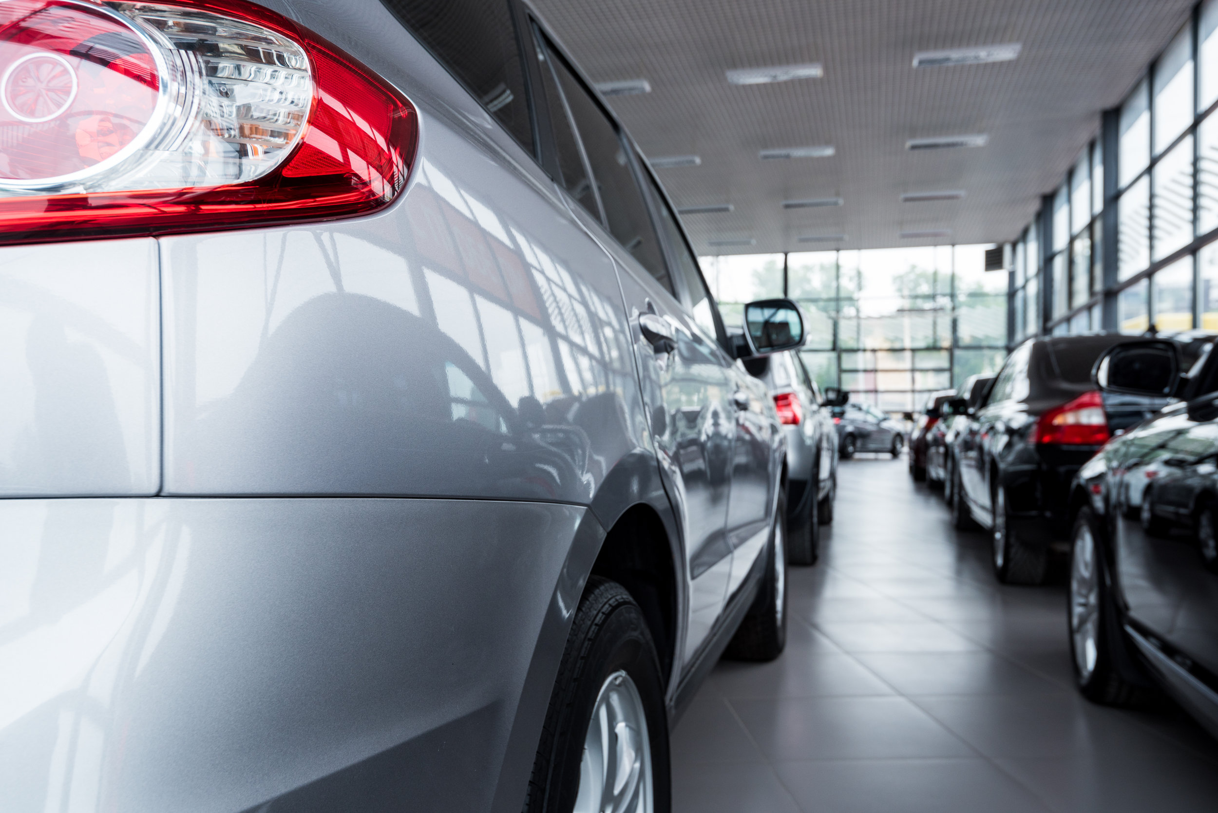 ShowroomLineOfCars_AdobeStock_114914720.jpeg