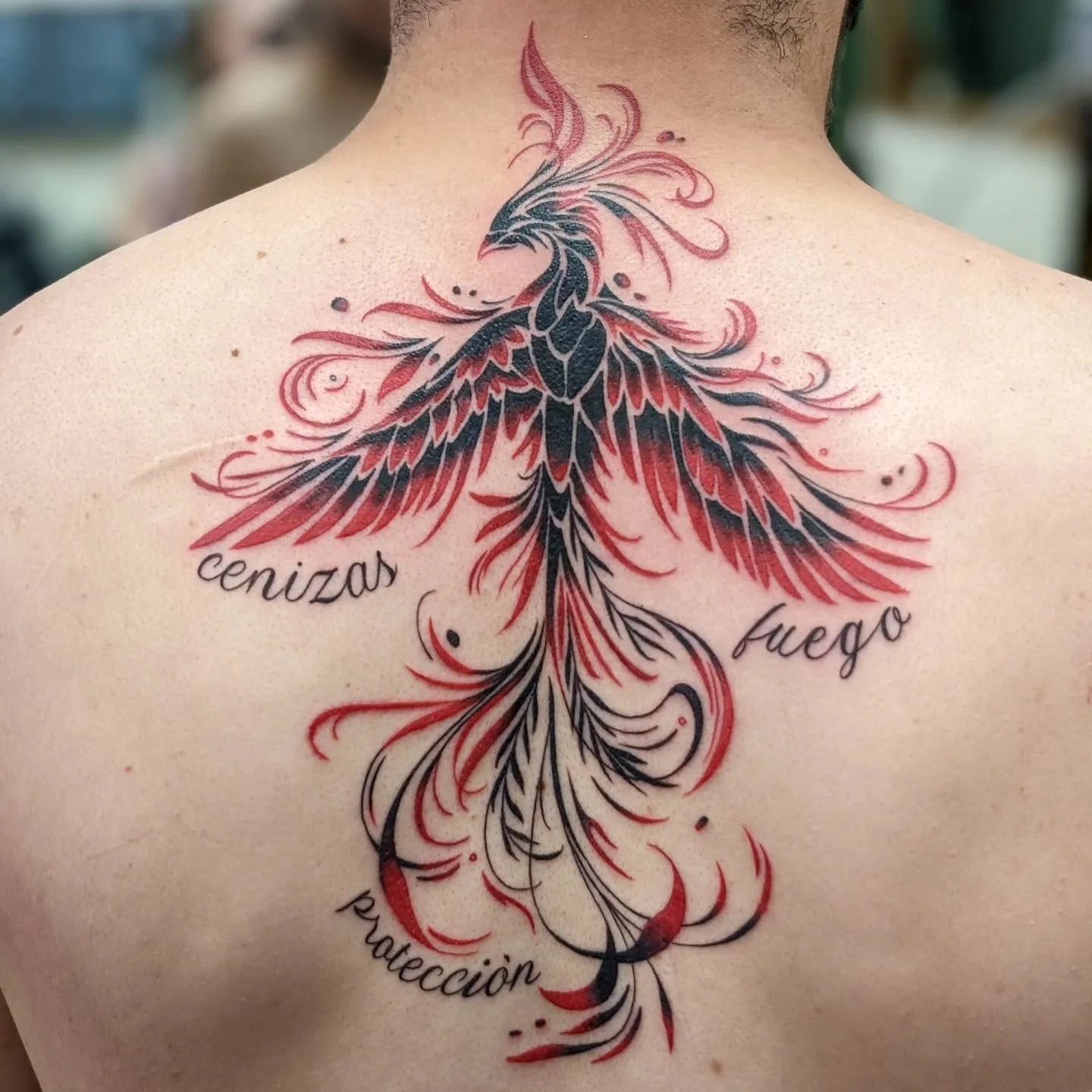 Highlights from Aug '24. Just a grab bag of styles this time around! Thanks for looking! 

.
.
.
.
.

#tattoos #coloredlinework #phoenixtattoo #feathertattoo #colortattoo #americantraditionaltattoo #woodcuttattoo #skulltattoo #godzilla #ginkotattoo #
