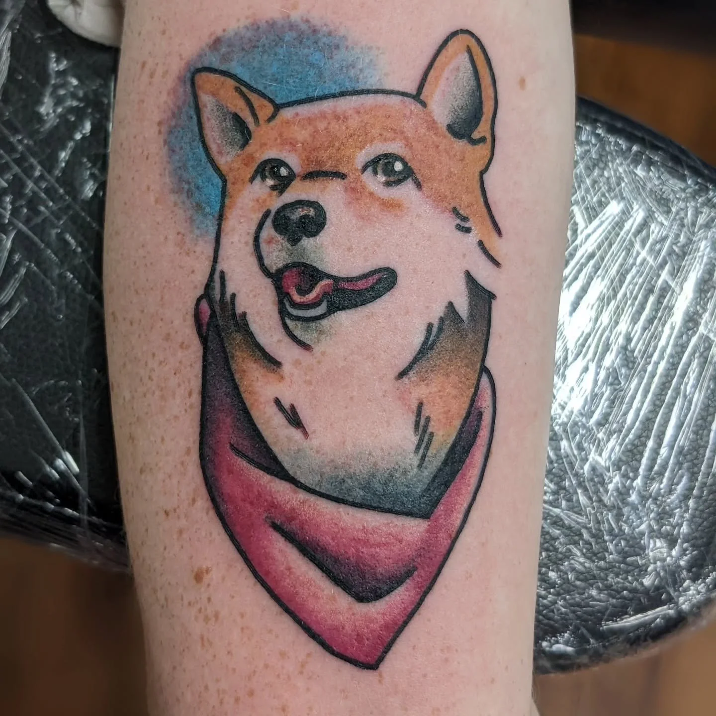 Highlights from June '24! Linework-heavy this month, not that I'm complaining! Linework is my fave. Plus some fun shots and color stuff too! Thanks everyone!

.
.
.
.
.

#tattoos #americantraditionaltattoo #pettattoo #corgis #stamptattoo #finelinetat