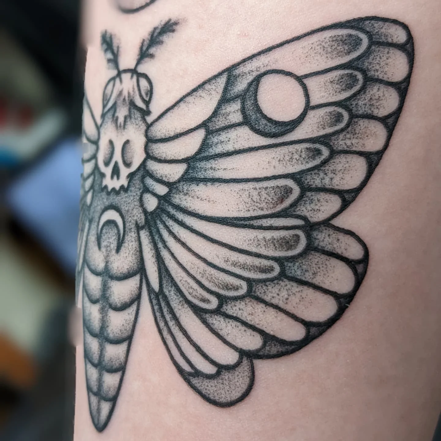 Black and grey highlights from May '24! Gotta show off the other half of the month haha. Thanks for looking everyone! 

.
.
.
.
.

#tattoos #finelinetattoo #stipplingtattoo #blackandgreytattoo #mothtattoo #goku #dbz #animetattoos #snaketattoo #battat