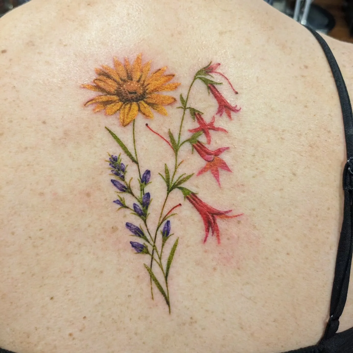 The softer side of July '25. 

.
.
.

#realismtattoos #colortattoo #coloradowildflowers 

#matchingtattoo #soulsisters #bookmarks 

#coveruptattoo #matchingtattoos #beadwork 

#hands #pinkypromise #ilovedrawinghands 

#peaches #floraltattoo #linework