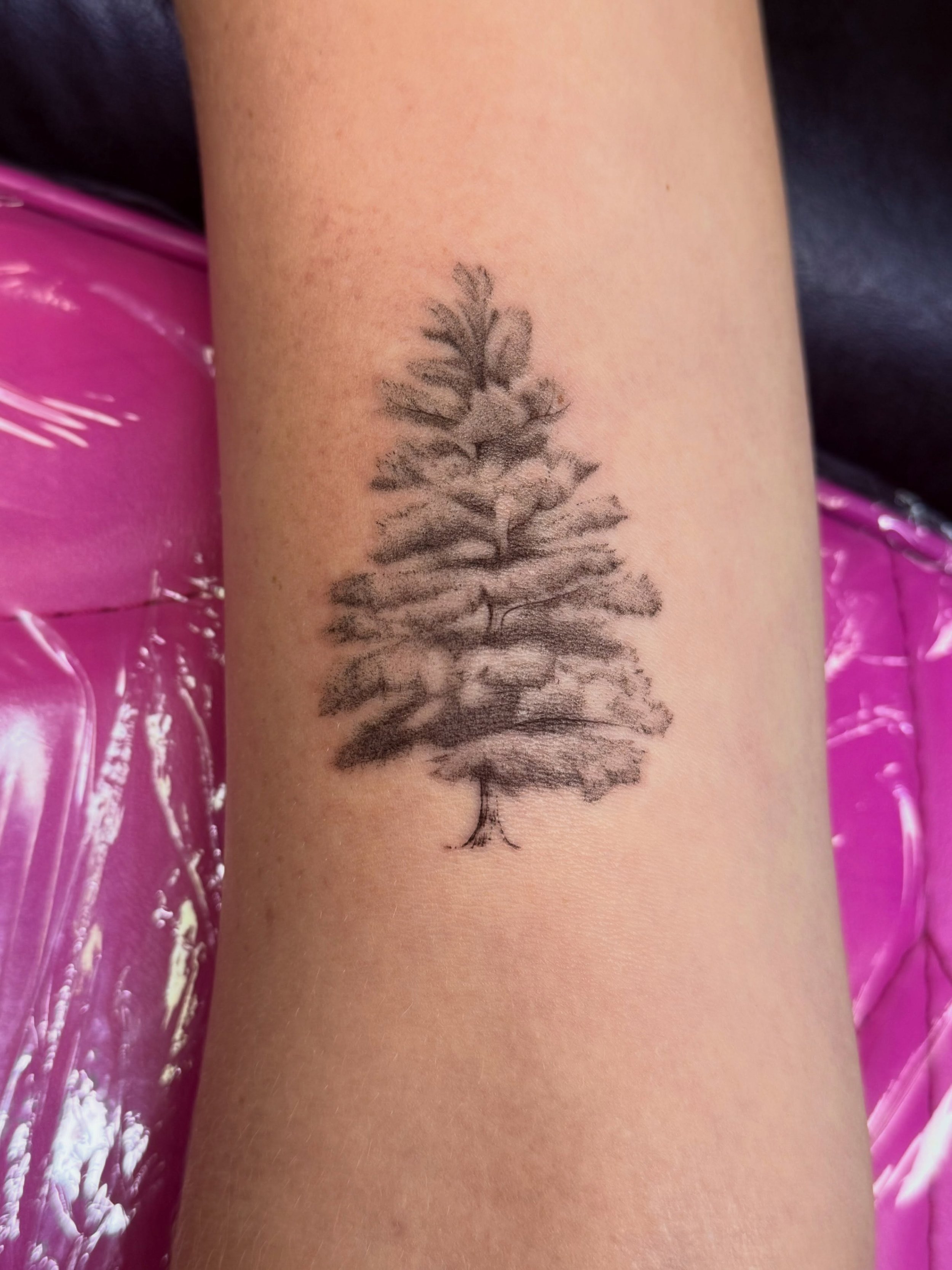 Cute little tree, what an amazing client! I enjoyed the story behind this one #finelinetattoos