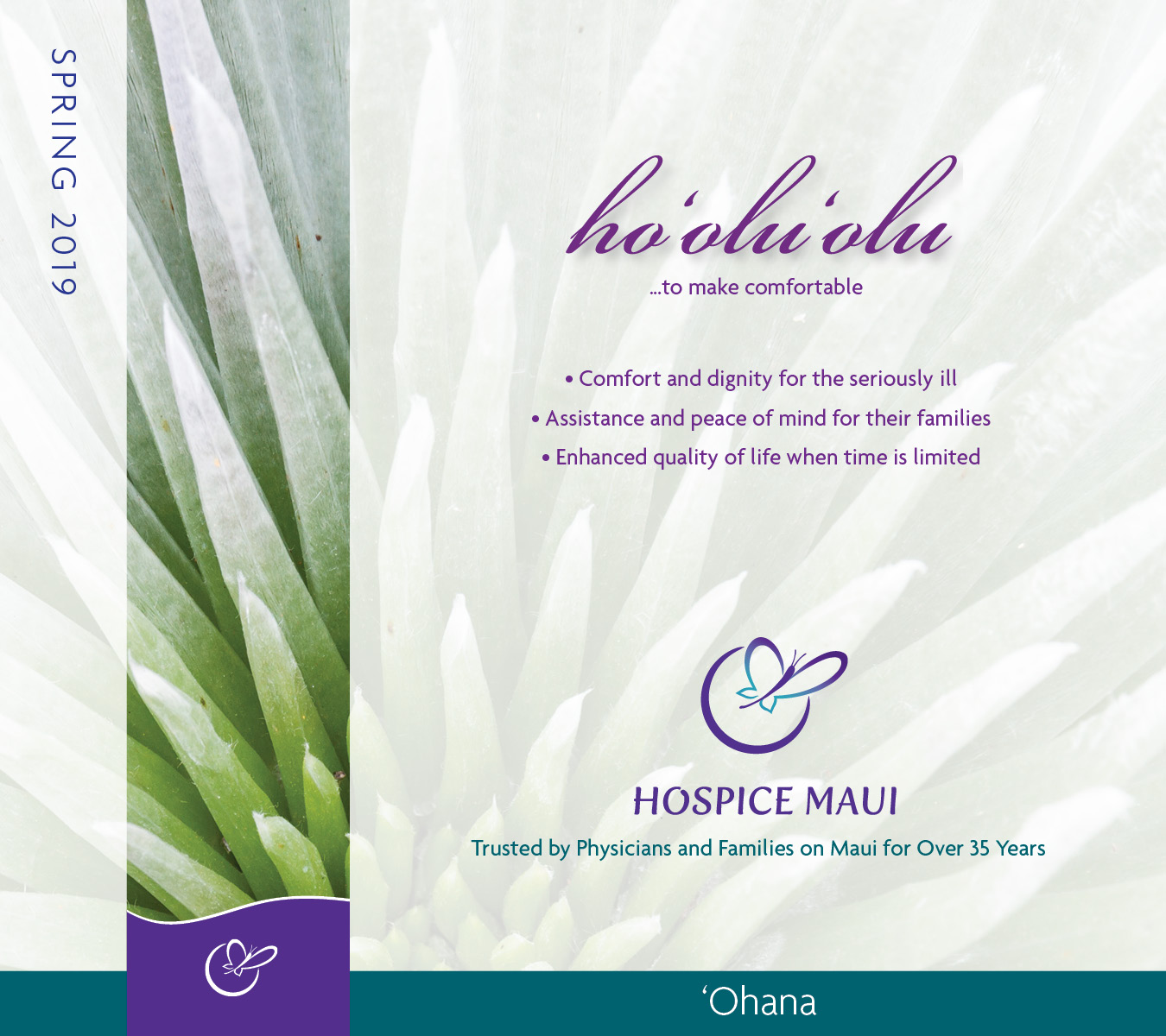 Hospice Spring newsletter 2019 jpg.jpg