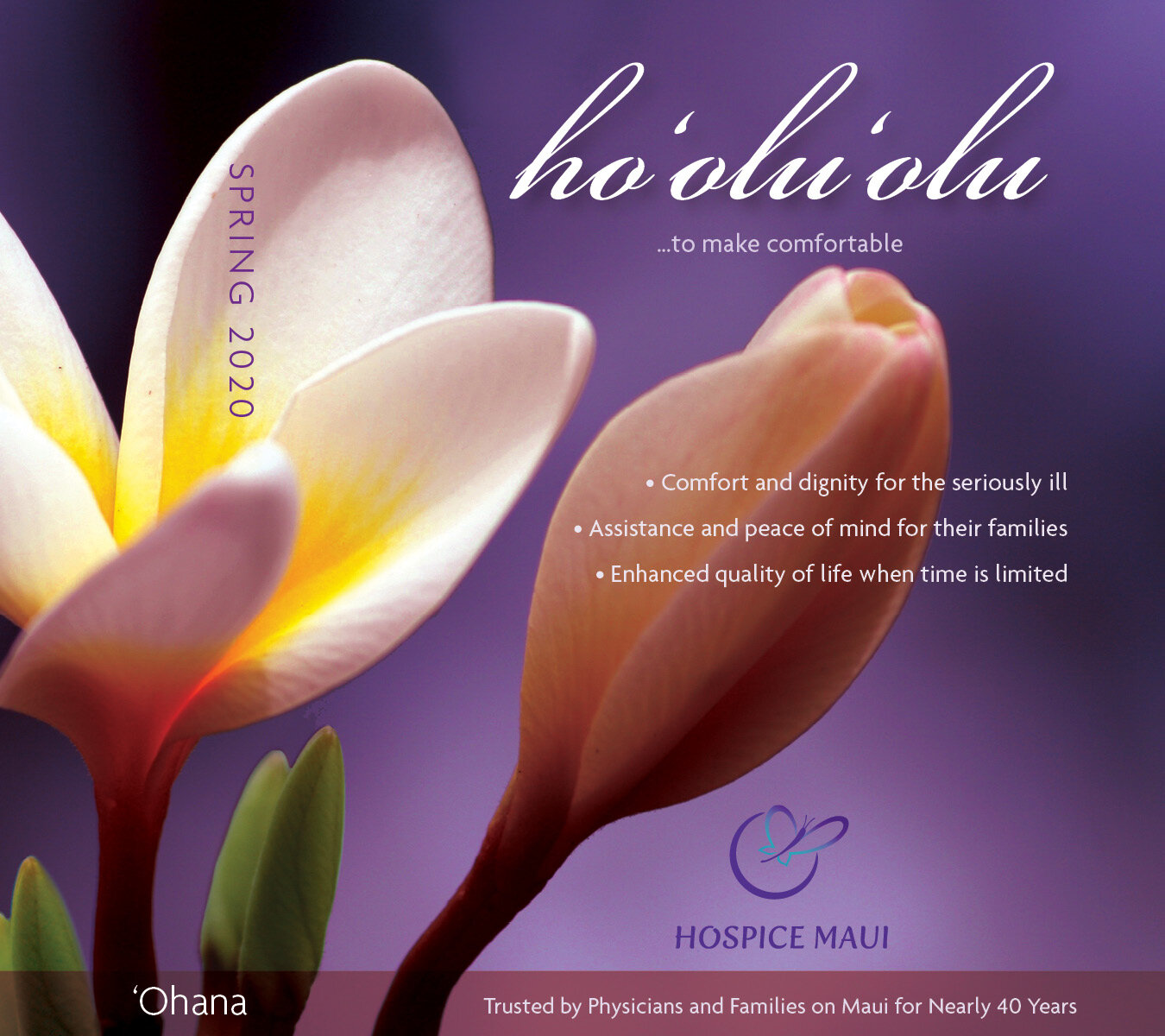 Hospice Spring newsletter 2020 cover .jpg