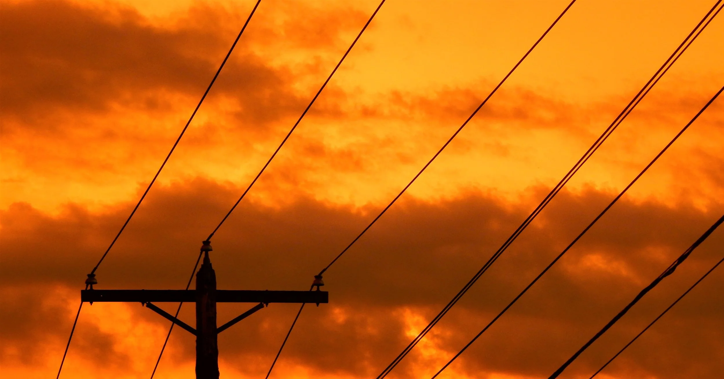 Electric Yellow.JPG