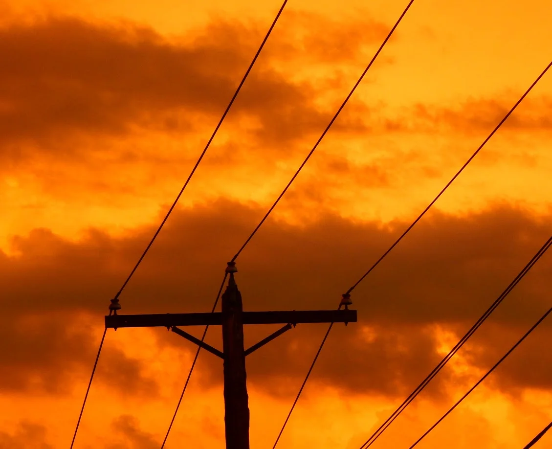 Yellow Electrofied.JPG
