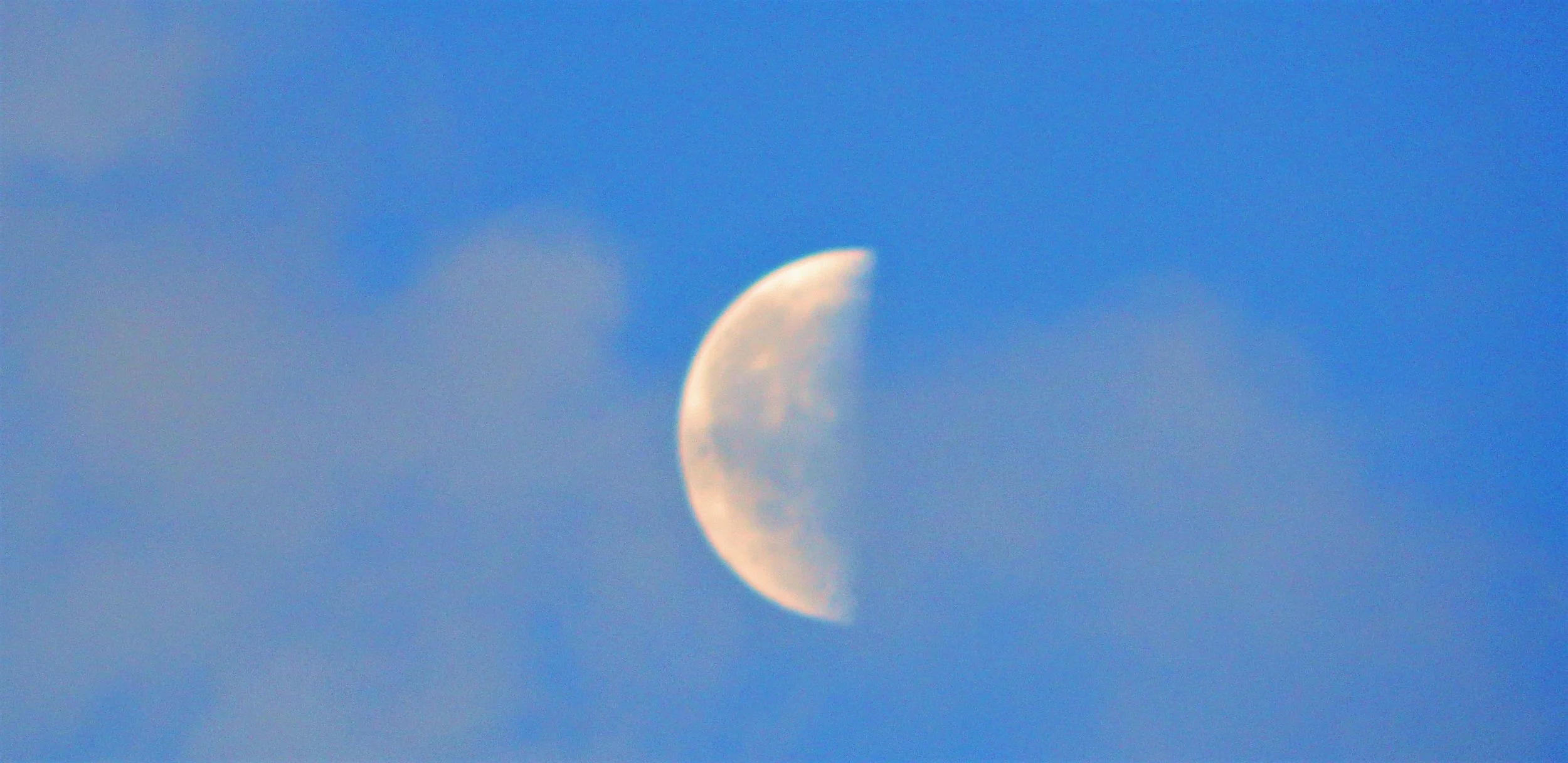 Casino Half Moon