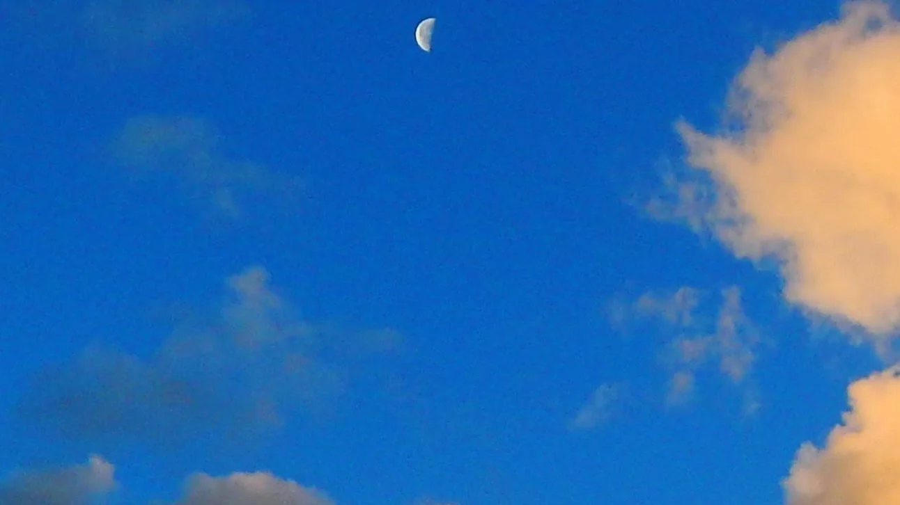 casino moon(1).jpg