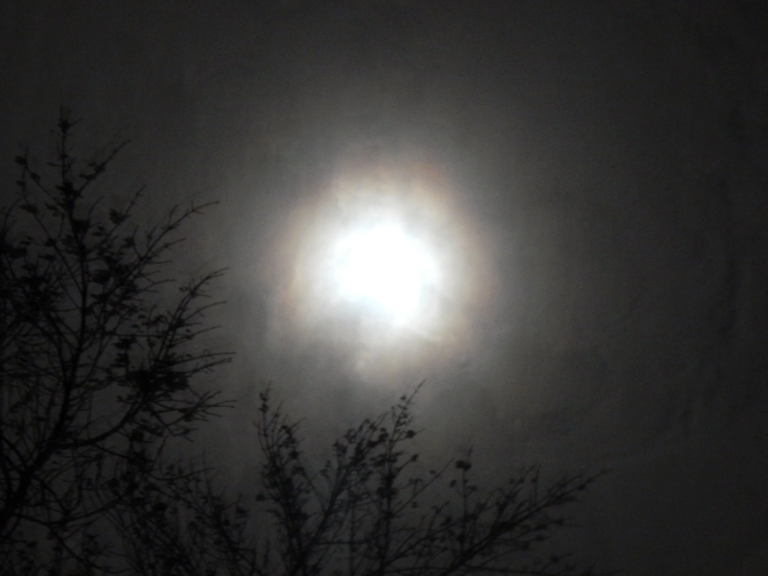 DSCN4048.jpg