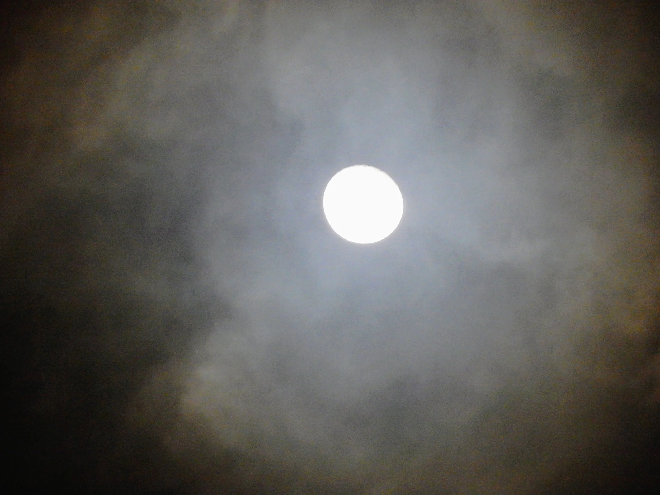 DSCN4049.jpg